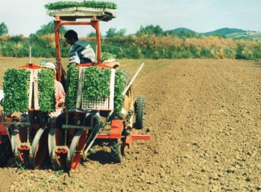Contributi per Ammodernamento Aziende Agricole